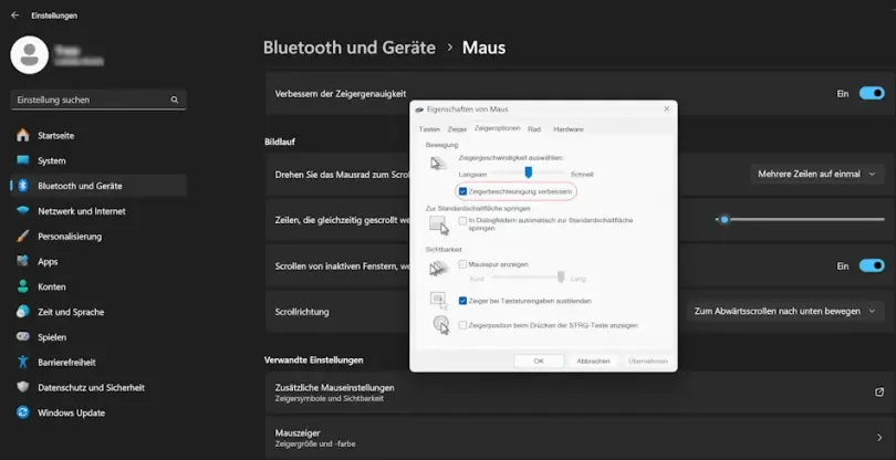 Zeigerbeschleunigung verbessern Screenshot: Einstellungen Zeigerbeschleunigung verbessern