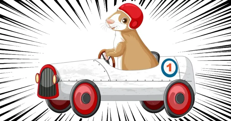 Deaktivieren der Mausbeschleunigung in Windows 11 Deaktivieren der Mausbeschleunigung in Windows 11